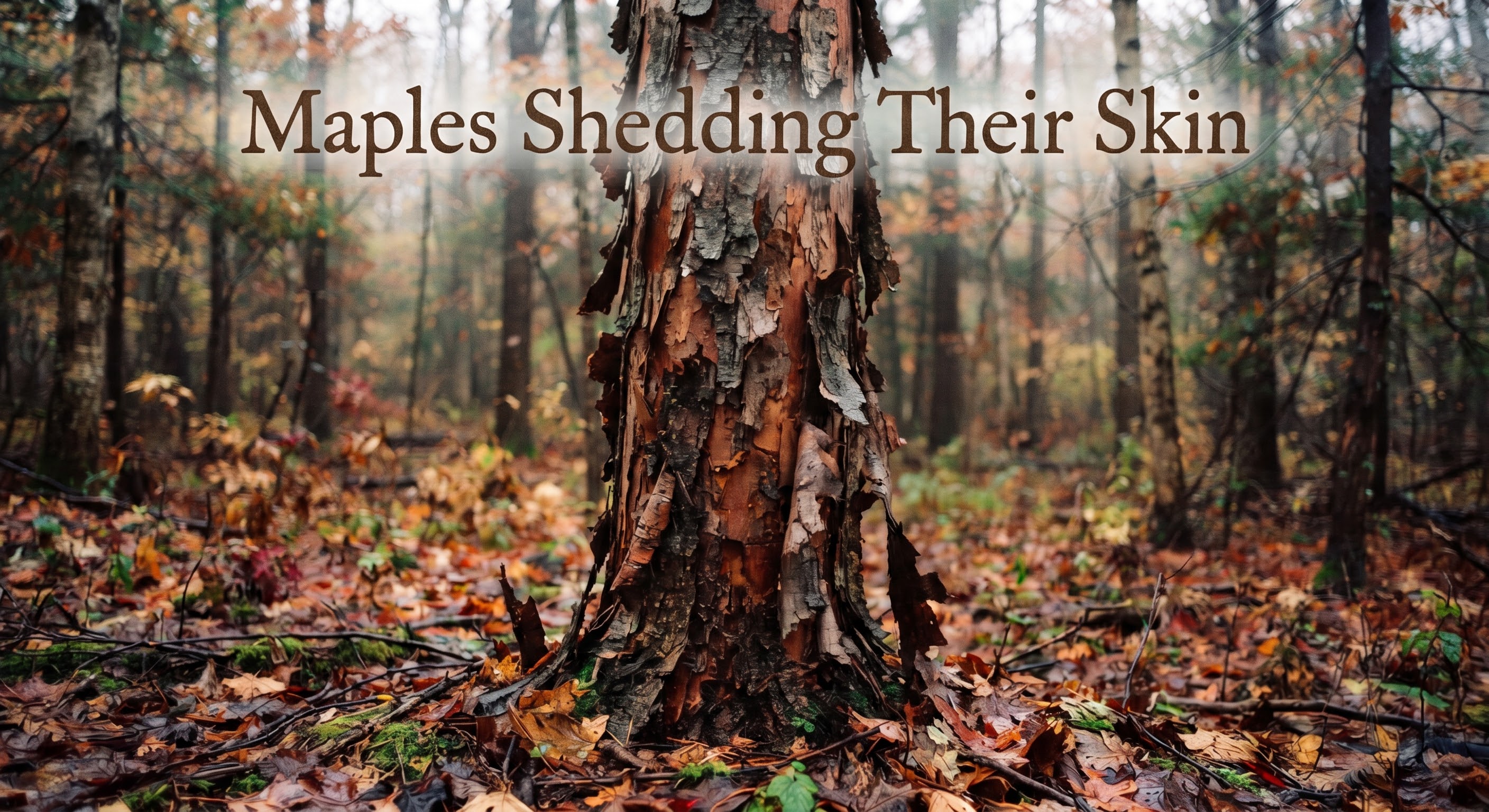 Maple’s Shedding Their Skin cover